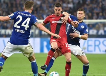 Im Kampf vereint: Alario und Nastasic von Leverkusen und Schalke