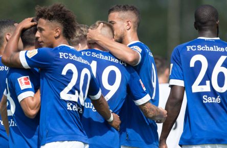 Der FC Schalke 04 feiert ein Tor von Burgstaller