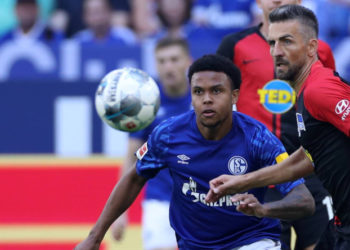 Während Vedad Ibisevic vor einem Wechsel zum FC Schalke 04 steht, steht Weston McKennie vor dem Abgang