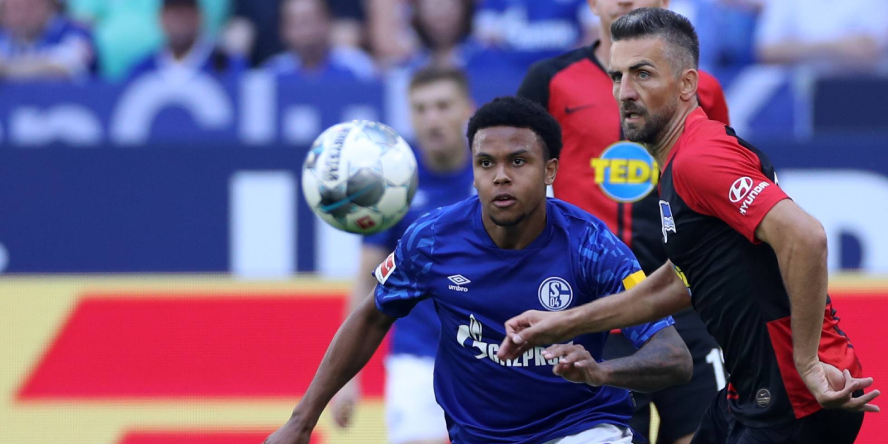 Während Vedad Ibisevic vor einem Wechsel zum FC Schalke 04 steht, steht Weston McKennie vor dem Abgang
