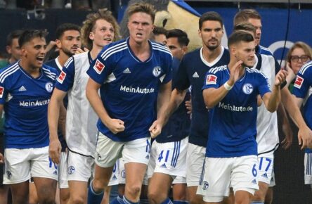 Schalke 04 im Comunio-Check: Alle Spieler einsortiert!
