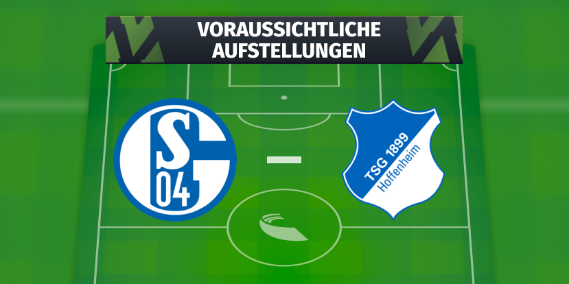 FC Schalke 04 - TSG Hoffenheim: Die voraussichtlichen Aufstellungen