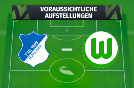 hoffenheim-wolfsburg