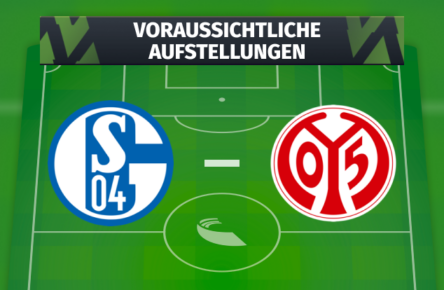 schalke-mainz