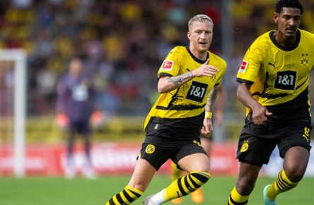Reus ist wie ein Mittelfeldspieler aus Gladbach gefragt, Haller beim BVB momentan nicht zu empfehlen