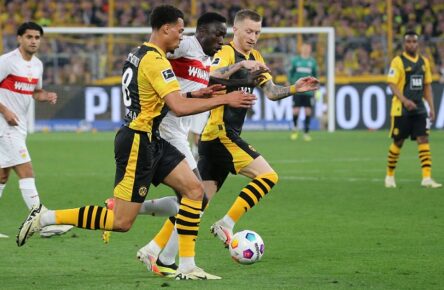 Silas darf sich beim VfB, Nmecha und Reus in Dortmund vermehrt Einsatzzeiten ausrechnen