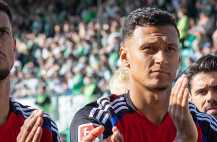 Schlussjubel bei den Fans, Robert Glatzel 9 Hamburger SV, Davie Selke 27 Hamburger SV, Spvgg Greuther Fuerth vs. Hamburger SV Fussball, 2. Bundesliga, DFL, Saison 2024/2025, Rueckrunde, 34. Spieltag, 18.05.2025 DFB regulations prohibit any use of photographs as image sequences and/or quasi-video *** Final cheers from the fans, Robert Glatzel 9 Hamburger SV , Davie Selke 27 Hamburger SV , Spvgg Greuther Fuerth vs Hamburger SV Football, 2 Bundesliga, DFL, Saison 2024 2025, Rueckrunde, 34 Spieltag, 18 05 2025 DFB regulations prohibit any use of photographs as image sequences and or quasi video Copyright: xkolbert-press/MartinxAgüerax