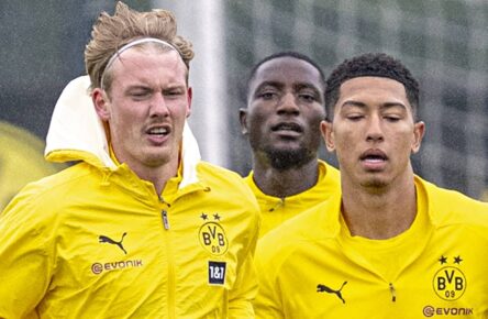 Borussia Dortmund: Julian Brandt und Jobe Bellingham im Stammplatzduell
