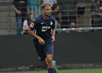 Luka Duric (TSG Hoffenheim) in Aktion