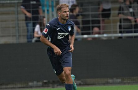 Luka Duric (TSG Hoffenheim) in Aktion