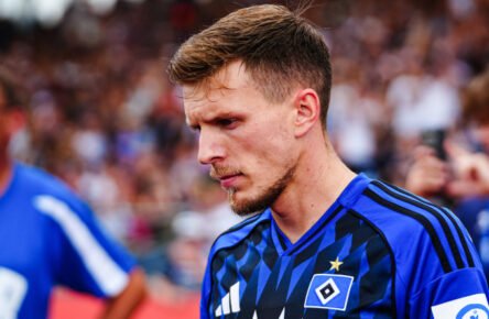 Kaufempfehlung beim Hamburger SV: Emir Sahiti