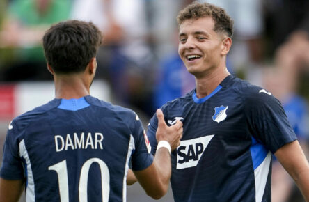 Muhammed Damar und Fisnik Asllani hoffen auf den Durchbruch bei der TSG Hoffenheim.