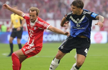 Formstärkste Spieler: Sommertransfers von HSV, VfB & Eintracht starten durch Top in Form: Harry Kane (Bayern München) und Luka Vuskovic (HSV)