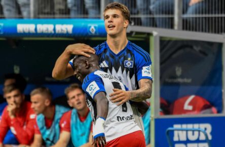 Kaufempfehlungen 4-8 Mio.: HSV-Duo und Werder-Punktemonster HSV: Luka Vuskovic und Jean-Luc Dompe
