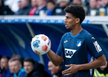 Bernardo von der TSG Hoffenheim