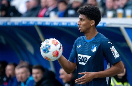 Bernardo von der TSG Hoffenheim