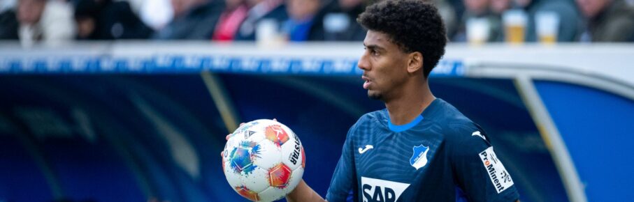 Bernardo von der TSG Hoffenheim