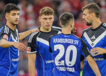 HSV: Daniel Elfadli und Fabio Vieira halten oder verkaufen?