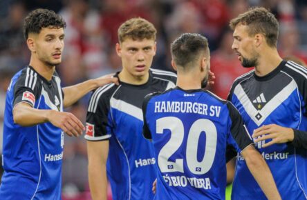 HSV: Daniel Elfadli und Fabio Vieira halten oder verkaufen?