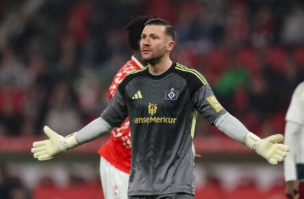 Daniel Heuer Fernandes beim Spiel des HSV in Mainz.