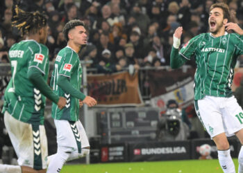 Kaufempfehlungen beim SV Werder Bremen: Jovan Milosevic und Co.