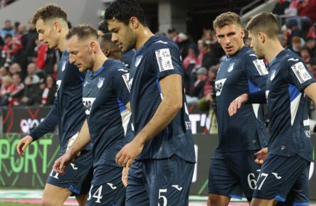 Einige Spieler der TSG Hoffenheim überzeugen auch bei Comunio