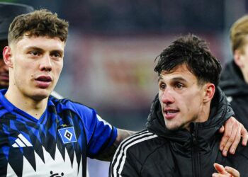 Bundesliga Sperren: HSV ohne Remberg, Capaldo könnte einspringen