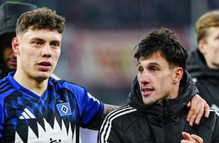 Bundesliga Sperren: HSV ohne Remberg, Capaldo könnte einspringen