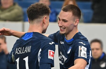 TSG Hoffenheim: Fisnik Asllani und Tim Lemperle