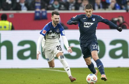 Andrej Kramaric von der TSG Hoffenheim und Fabio Vieira vom HSV