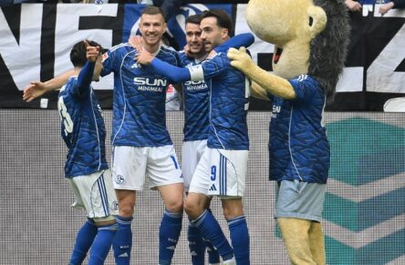Transfers bei Schalke 04: Was wird aus Edin Dzeko? Wer kommt noch im Sommer?