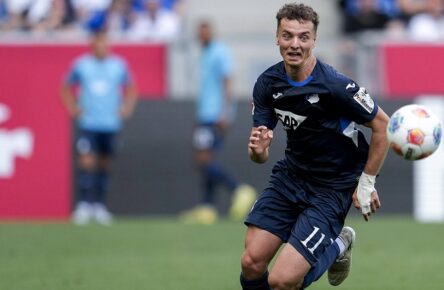 Könnte in diesem Sommer zu den Transfers der TSG Hoffenheim gehören: Fisnik Asllani