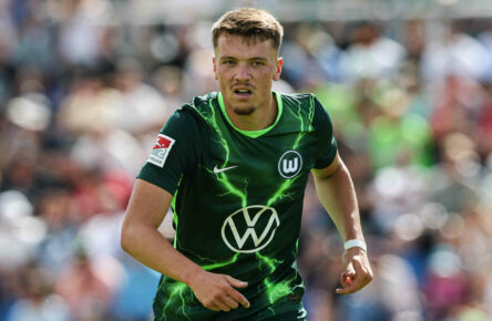 Dzenan Pejcinovic könnte aus Wolfsburg zum VfB Stuttgart wechseln.