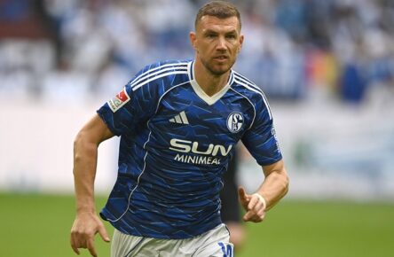 Möglicherweise nicht die letzte Verpflichtung von Schalke 04: Edin Dzeko