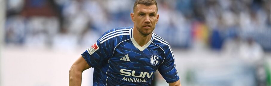 Edin DZEKO GE halbe Figur, Halbfigur, halber Koerper, wird eingewechselt Fussball 2. Bundesliga, 34. Spieltag, FC Schalke 04 GE - Eintracht Braunschweig BS 1-0 am 17.05.2026 in der Veltins-Arena Gelsenkirchen/ Deutschland. DFL regulations prohibit any use of photographs as image sequences and/or quasi-video Â *** Edin DZEKO GE half figure, half figure, half body, is substituted Football 2 Bundesliga, Matchday 34, FC Schalke 04 GE Eintracht Braunschweig BS 1 0 on 17 05 2026 at Veltins Arena Gelsenkirchen Germany DFL regulations prohibit any use of photographs as image sequences and or quasi video Â