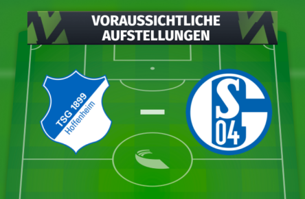 TSG Hoffenheim - FC Schalke 04: Voraussichtliche Aufstellungen