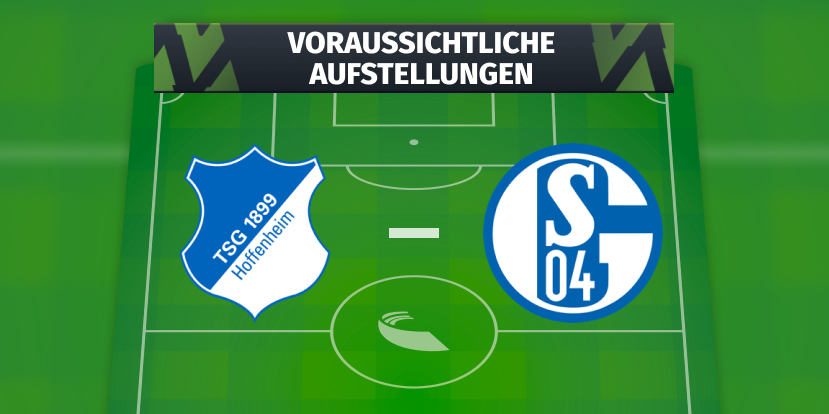 TSG Hoffenheim - FC Schalke 04: Voraussichtliche Aufstellungen