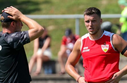 Ermedin Demirovic vom VfB Stuttgart