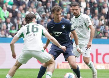 Fisnik Asllani von der TSG Hoffenheim