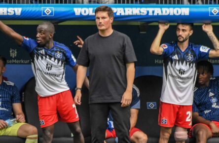 HSV: Jean-Luc Dompe, Merlin Polzin, Fabio Vieira