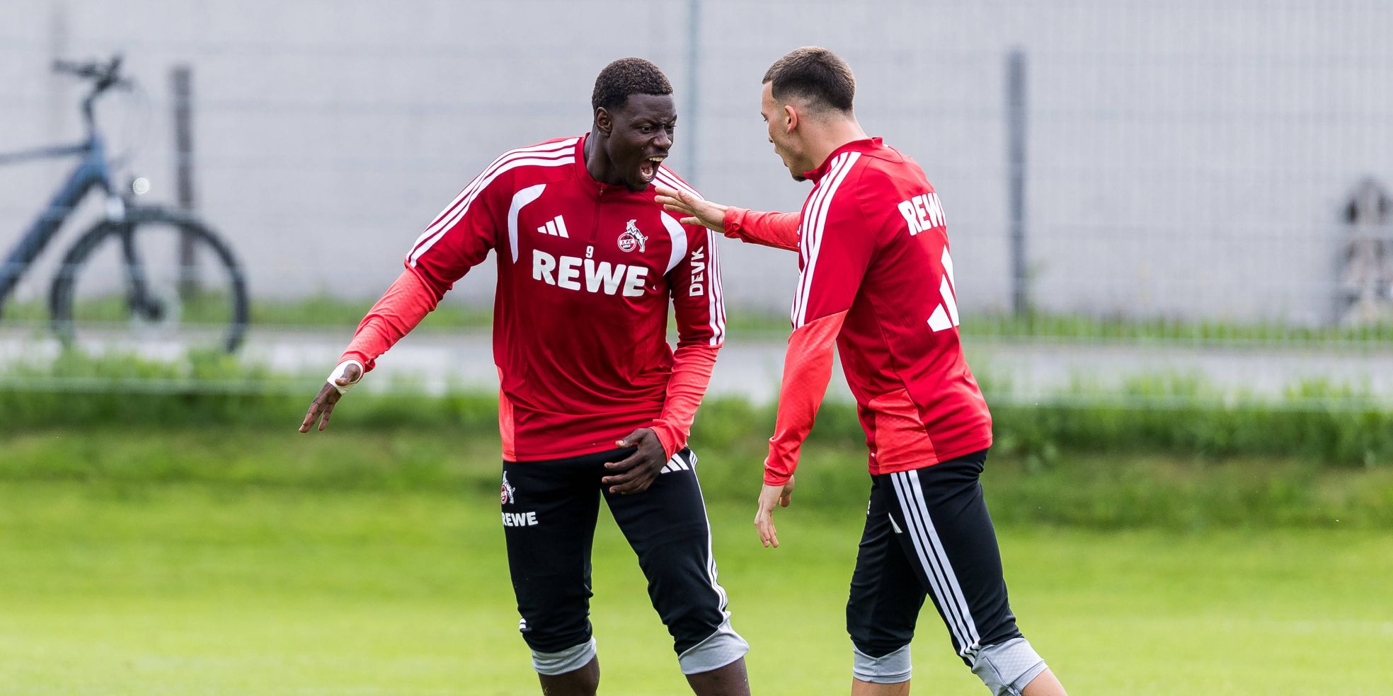 1. FC Köln: Ragnar Ache und Said El Mala