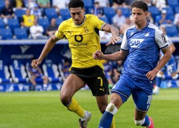 Trendwende mit der TSG Hoffenheim: Adam Hlozek