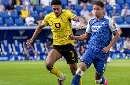 Trendwende mit der TSG Hoffenheim: Adam Hlozek