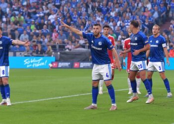 FC Schalke 04: Der Kader für die Bundesliga eingeordnet. Mit dabei: Edin Dzeko, Nikola Katic, Hasan Kurucay, Maximilian Wöber, Loris Karius und Co.