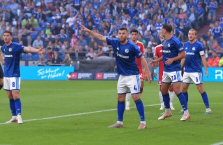 FC Schalke 04: Der Kader für die Bundesliga eingeordnet. Mit dabei: Edin Dzeko, Nikola Katic, Hasan Kurucay, Maximilian Wöber, Loris Karius und Co.