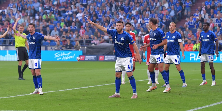 FC Schalke 04: Der Kader für die Bundesliga eingeordnet. Mit dabei: Edin Dzeko, Nikola Katic, Hasan Kurucay, Maximilian Wöber, Loris Karius und Co.