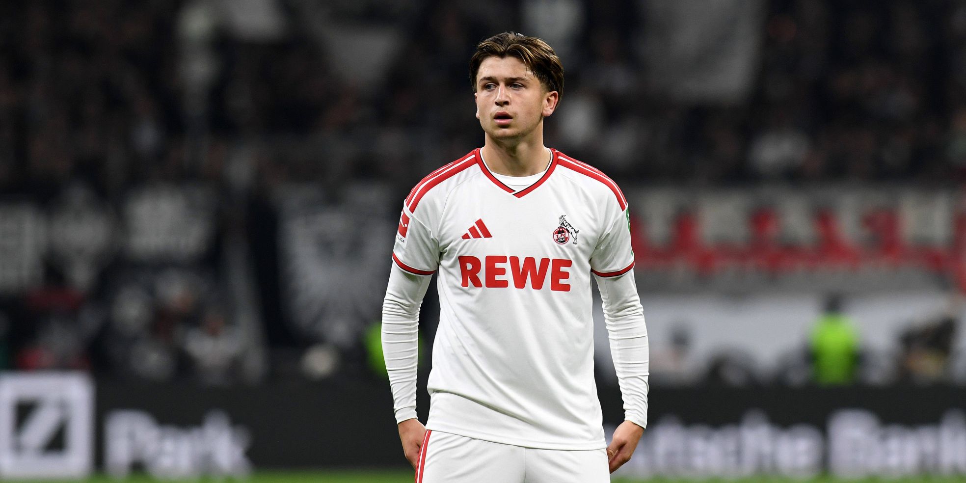 Mikey Moore vom 1. FC Köln