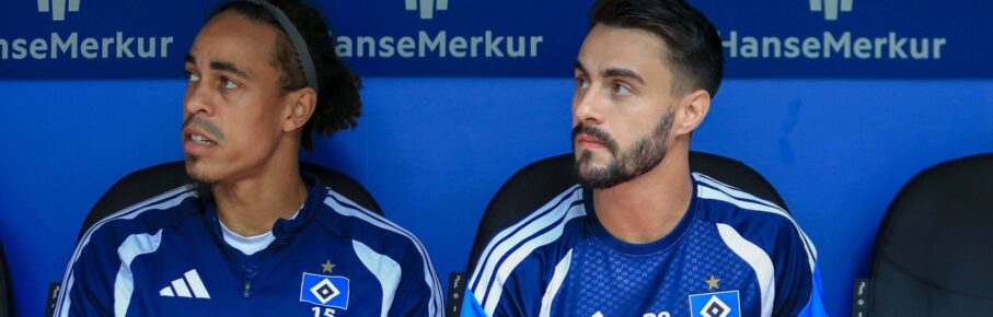 Yussuf Poulsen und Fabio Vieira vom HSV