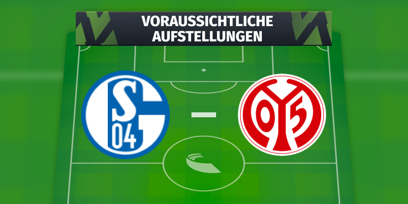 FC Schalke 04 - FSV Mainz 05